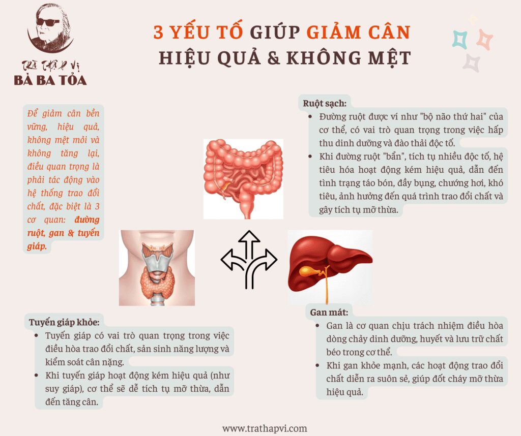 3 yếu tố giúp giảm cân hiệu quả & không mệt