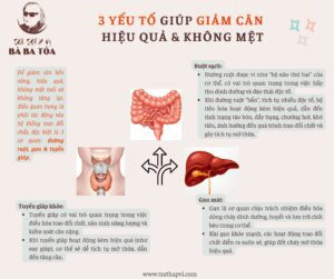 3 yếu tố giúp giảm cân hiệu quả & không mệt